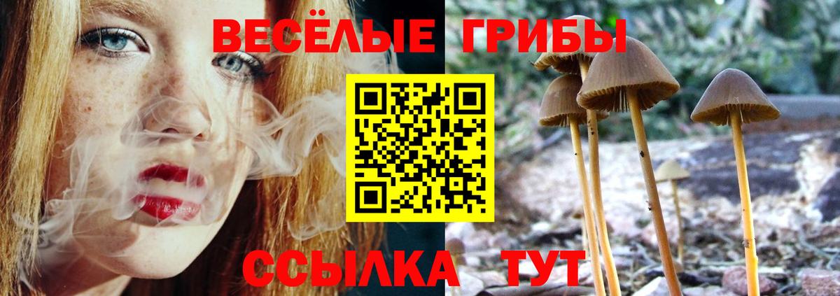 Галлюциногенные грибы ЛСД Дедовск