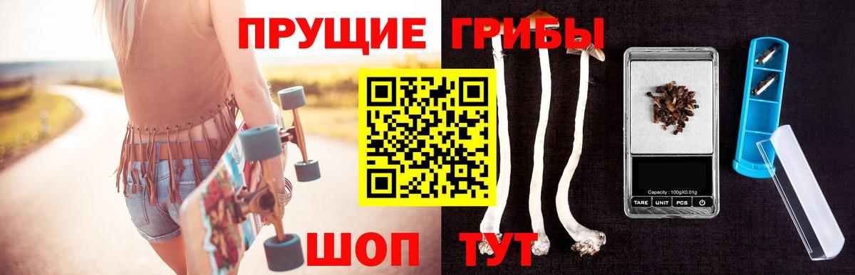 Галлюциногенные грибы Cubensis  Вход с VPN  Дедовск 